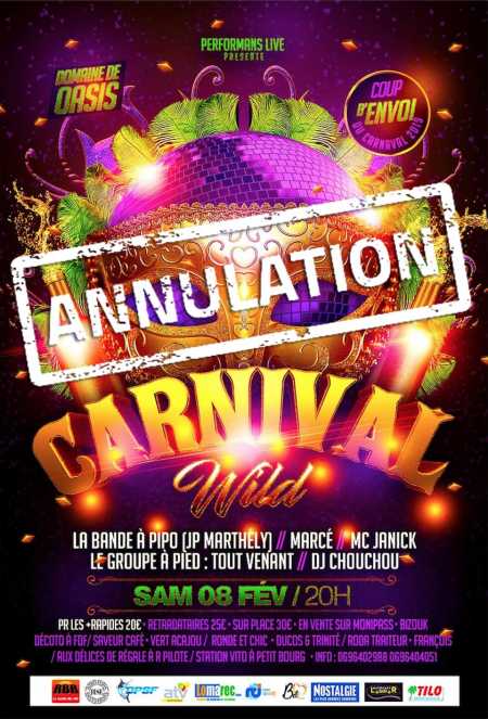Carnival Wild 2019